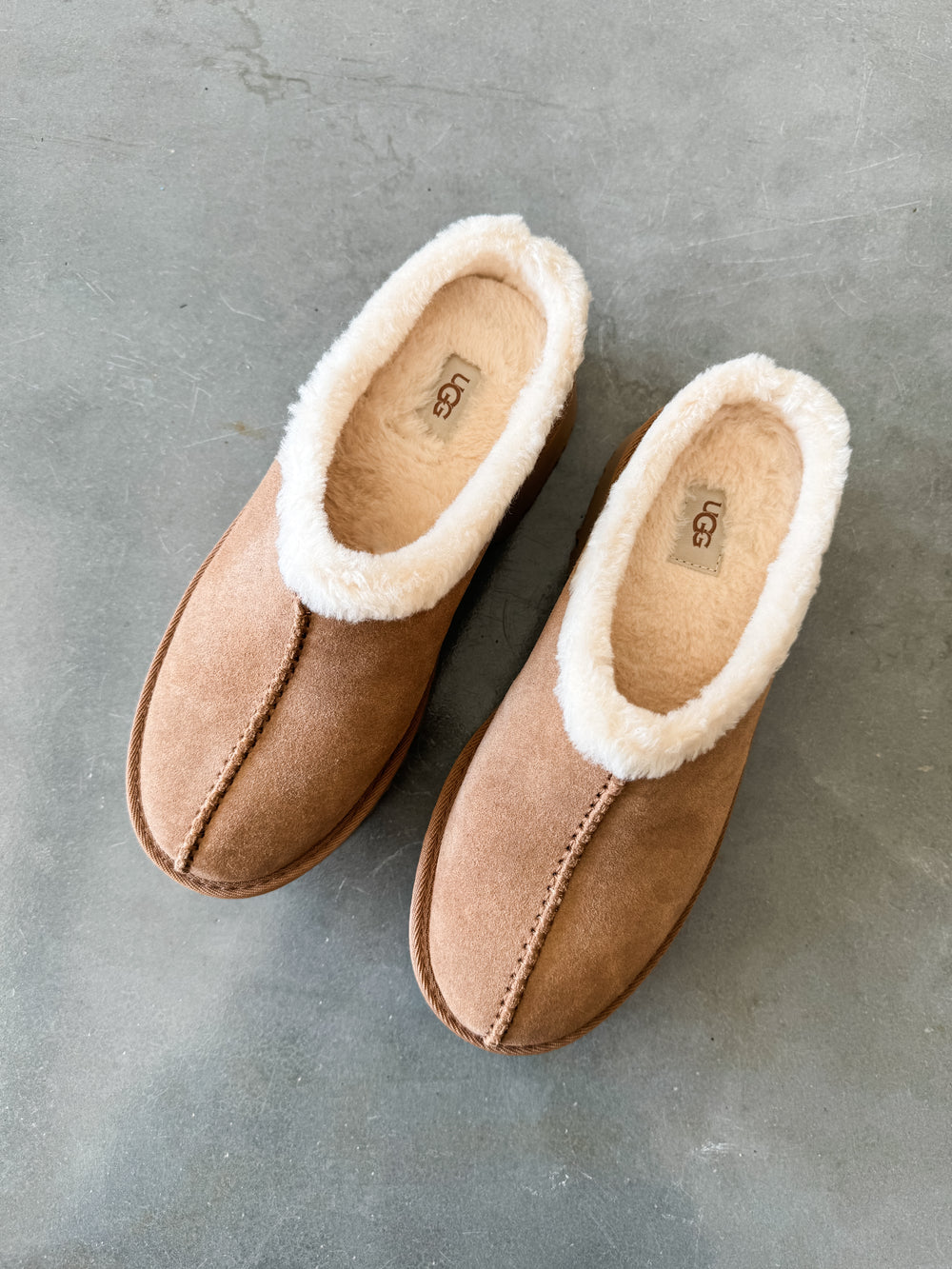 Women's New Heights Cozy Clog