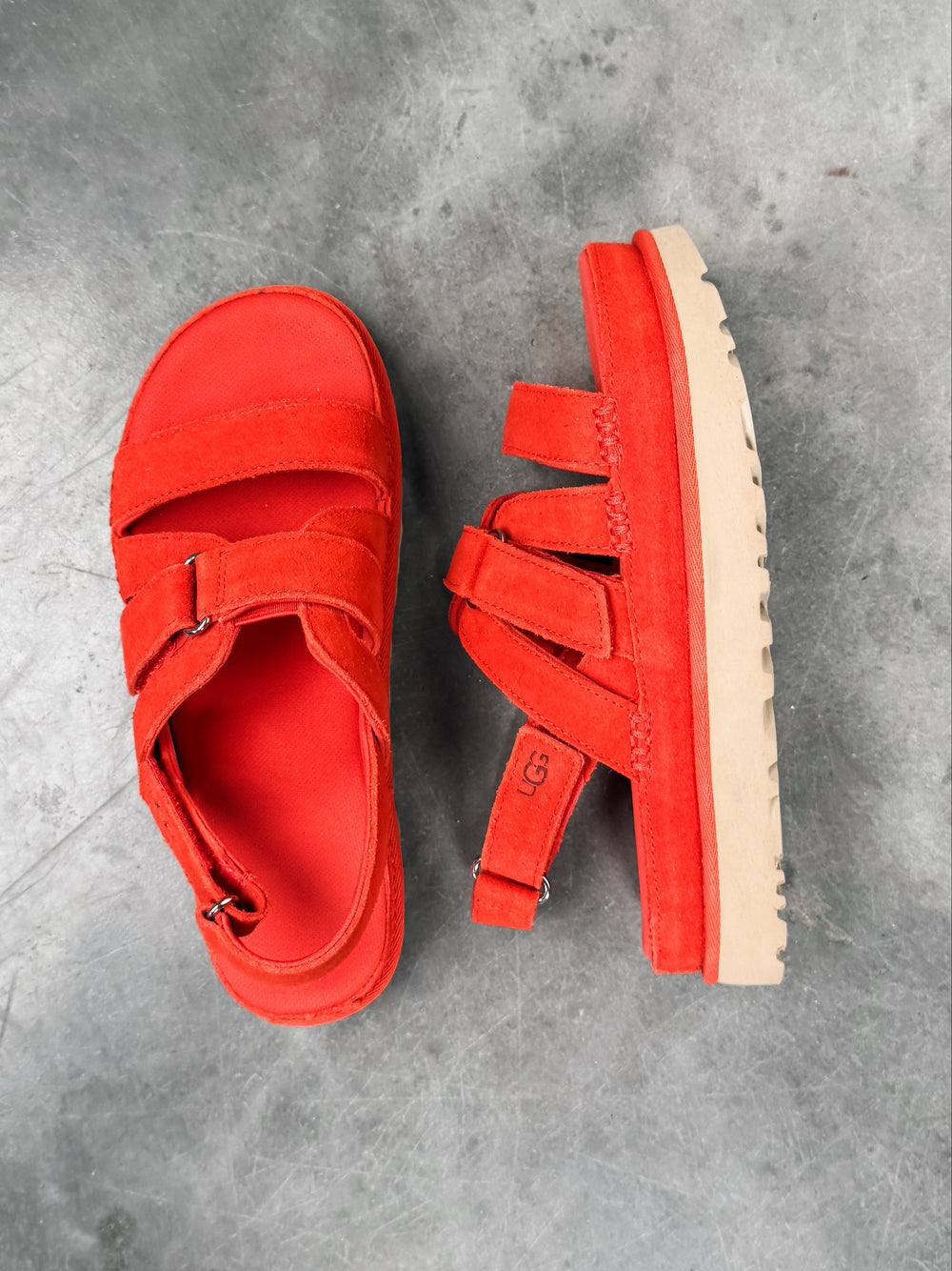 Women's Goldenstar Gleam