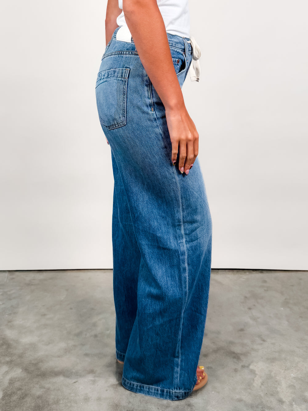Jadyn Draw Cord Low Slung Palazzo in Expanse