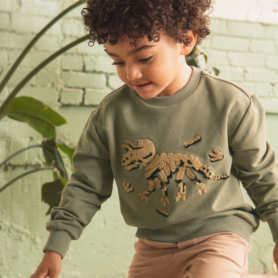 Tri Fossil Chenille Embroidered Sweatshirt In Olive