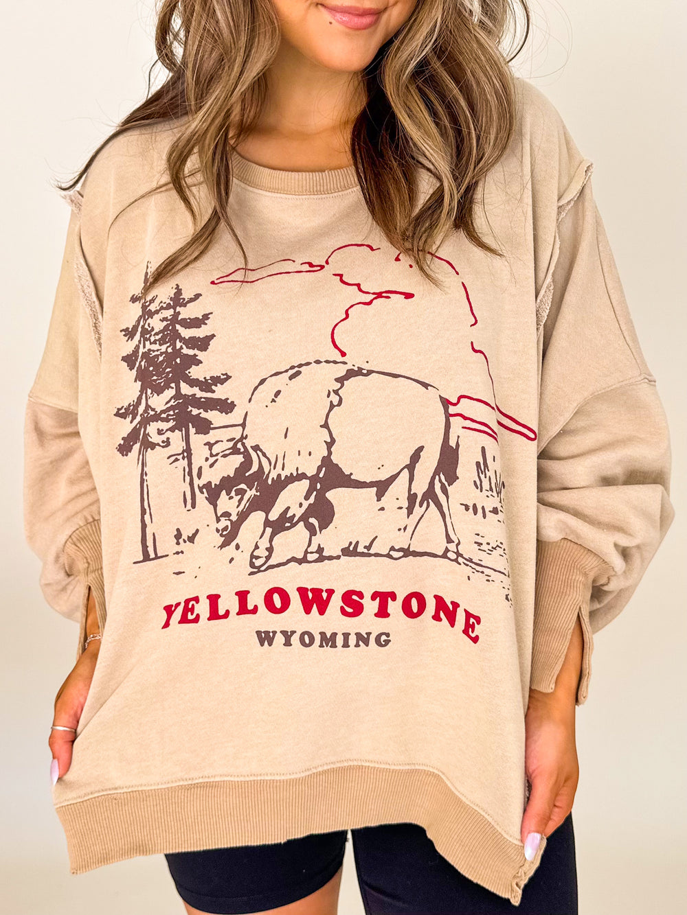 Graphic Camden Crew Yellowstone Bison
