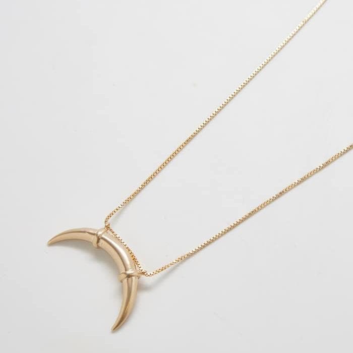 Double Horn Western Inspired 16"  Necklace
