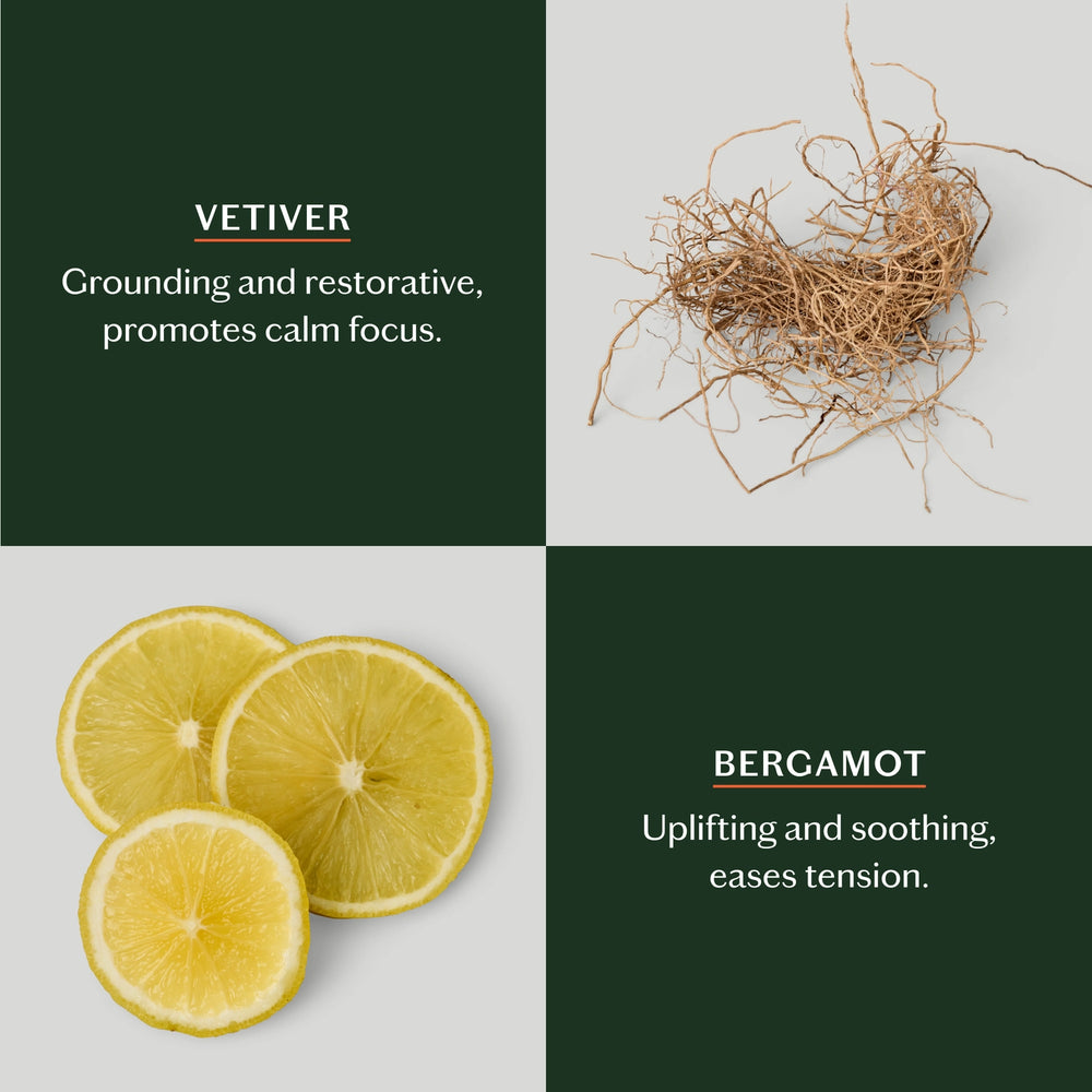 Deep Moisturizing Lotion Bar Starter Kit