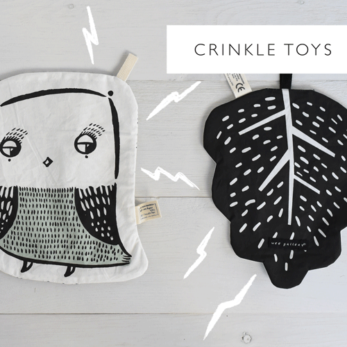 Crinkle Toy